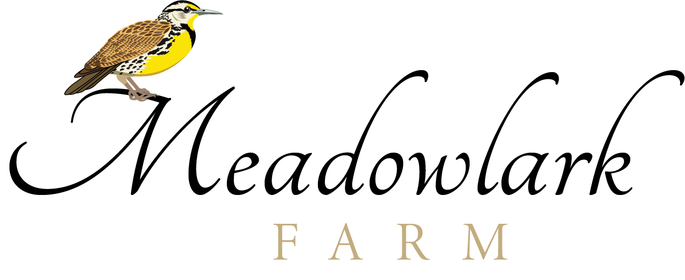 Patty O'Brien, Co-Owner, Designated Broker (NH & MA) - Meadowlark Farm